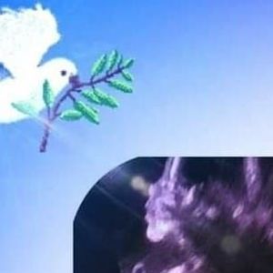 Meet your Posher, Irma